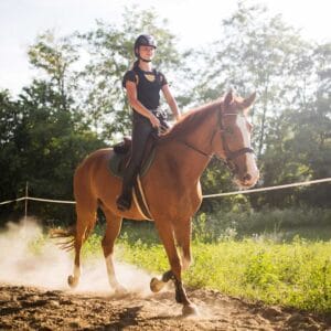 Trail Horseback Riding