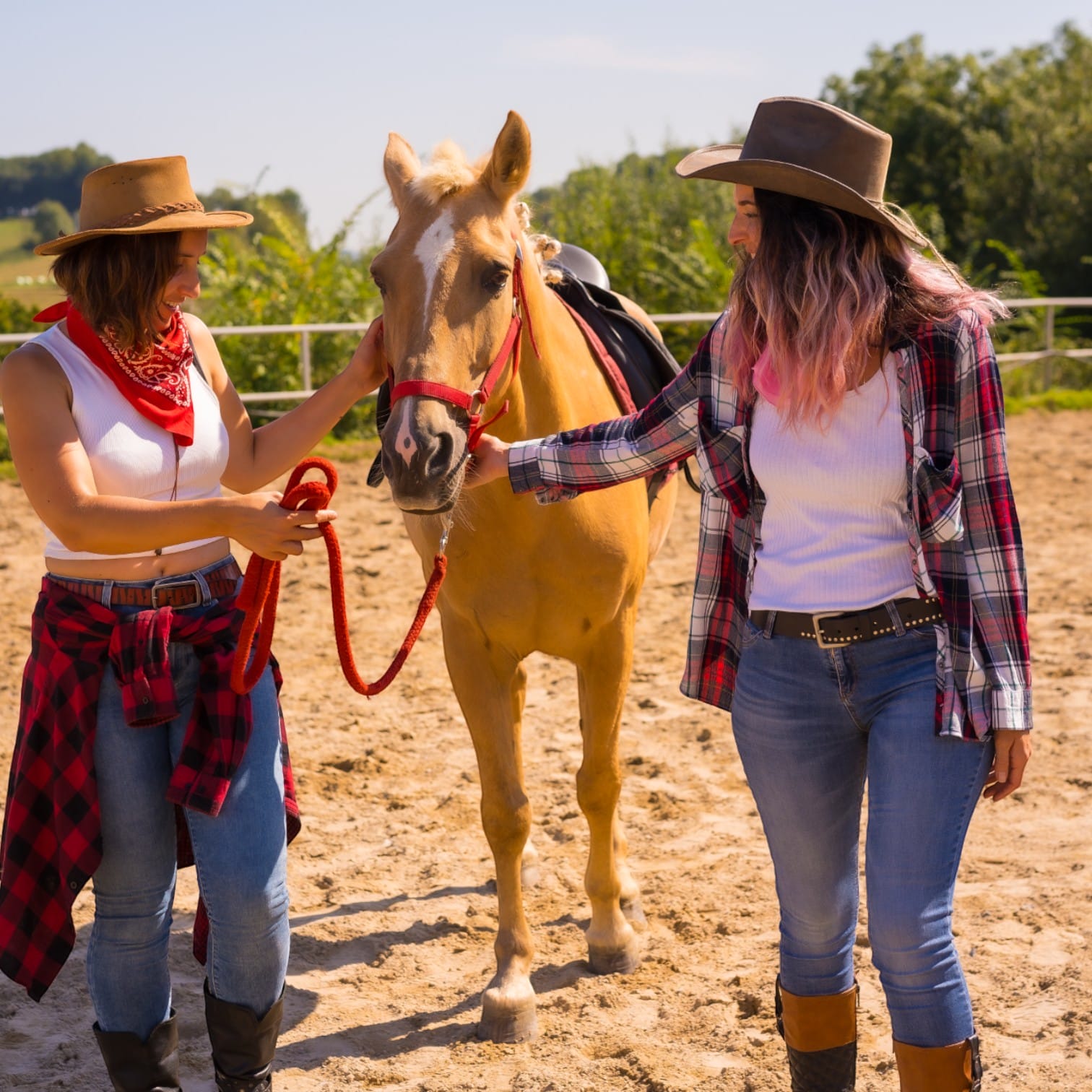 Riding For Beginners - Adult Package