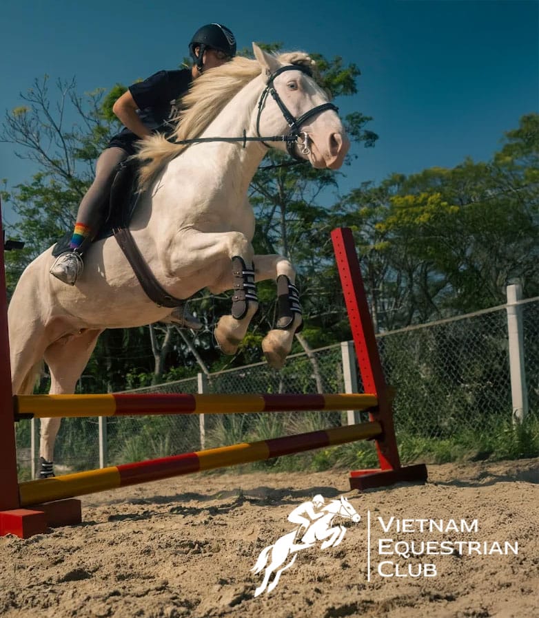 Zeus Jumping
