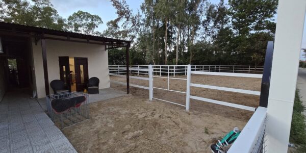 Dream Internship: Join the Vietnam Equestrian Club Team!