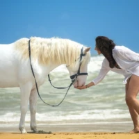 Horse riding photoshoot on the beach Horse riding photoshoot on the beach